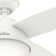 Dempsey 44" 4 - Blade Standard Ceiling Fan with Lights and Remote
