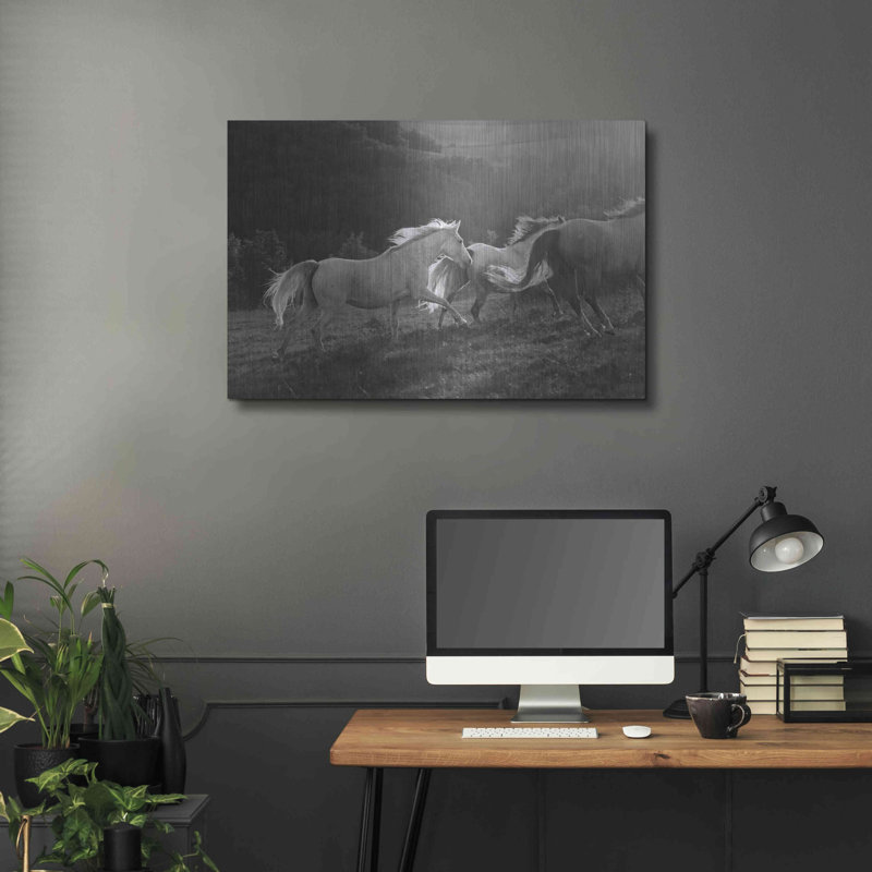 «Late Light» par Susan Friedman, art mural en métal, 16 po x 12 po, H 24 po x l 36 po