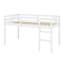 Lit mezzanine en bois avec échelle-426432109