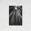 Millwood Pines «The Stand BW» par Debra Van Swearingen, art mural en métal, 16 po x 24 po-1358075545
