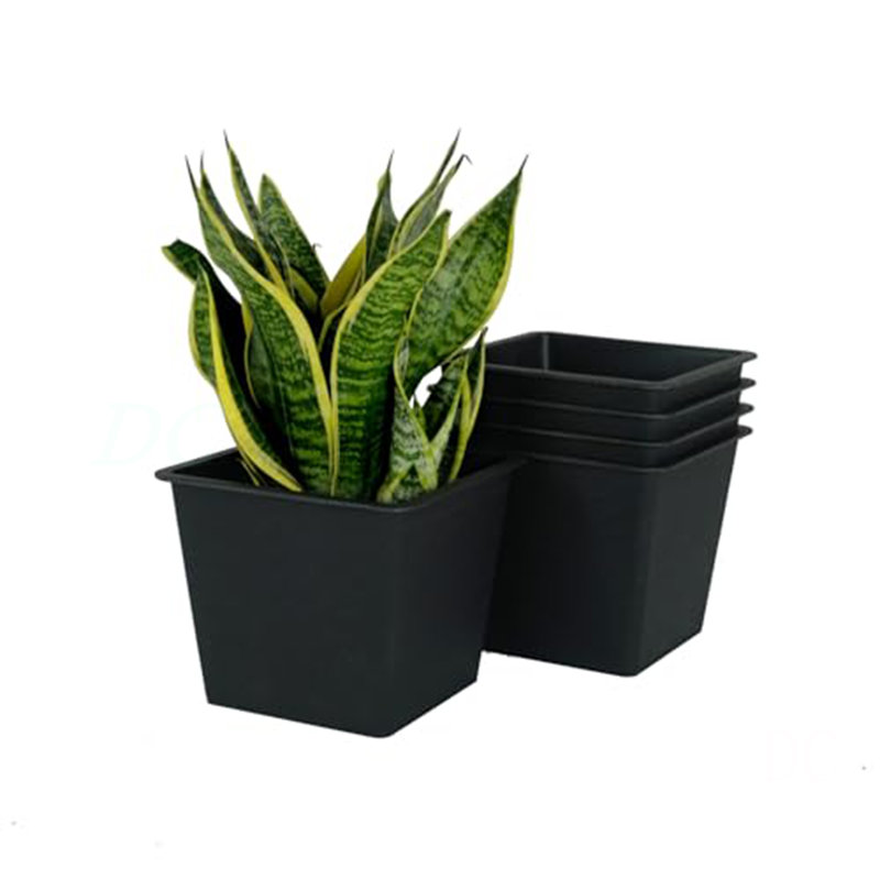 Pot de plante de jardin 5 po carré - pots de jardin en plastique avec drainage (paquet de 5)