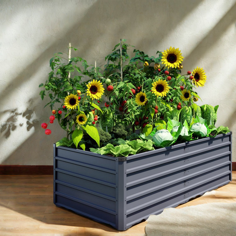 Grands pots surélevés d'extérieur gris de 6 x 3 x 2 pi