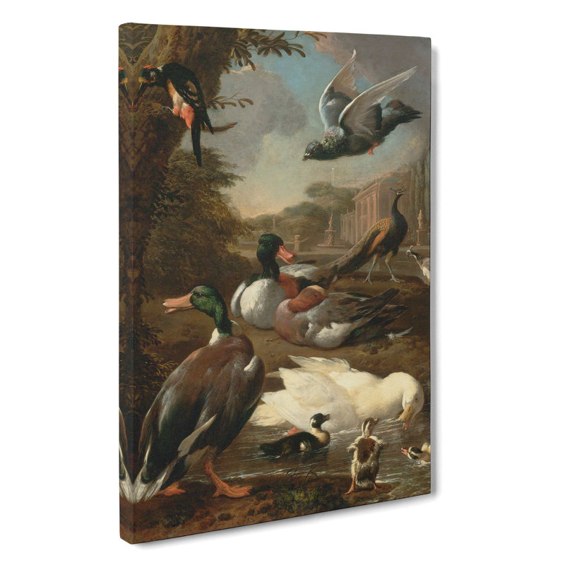 Collection Of Birds Vol.2 by Melchior D'Hondecoeter - Wrapped Canvas Painting, 76cm H x 50cm W x 3cm D