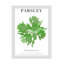 Bollogne «Parsley» par Cartissi on-98390521