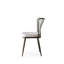 Ensemble de chaises en velours moderne (2 pièces), couleur vison, 16,9 po x 32,3 po x 16,5 po | Structure et dossier 100% métal, siège en panneau de particules revêtu de mélamine | Élégant et durable, parfait pour la décoration industrielle-943405806-943405801-975696557