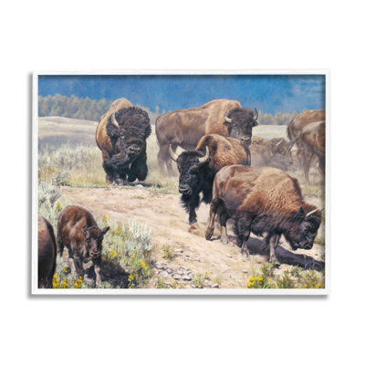 " Commander In Chief Bison Herd " by David Graham Painting Print