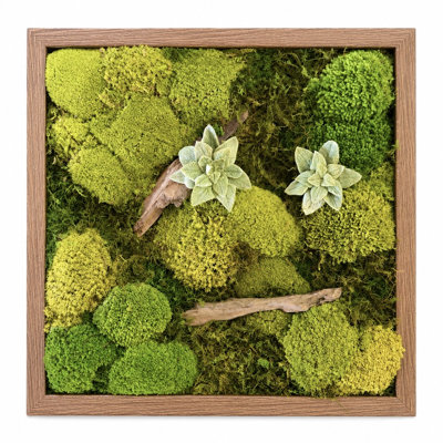Décoration murale en mousse préservée, tableau carré encadré de mousse naturelle avec bois flotté et feuillage, décoration murale végétale verte de style ferme pour bureau à domicile