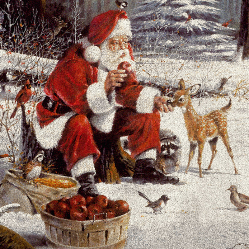 North Burnet Christmas Party Area Rug, Rectangle 3'10" x 5'4"