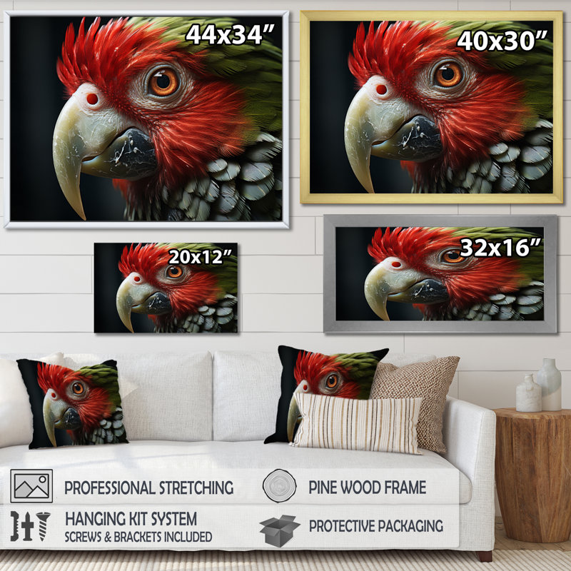 Portrait d'un perroquet rouge - reproduction sur toile, H 34 po x l 44 po x P 1,5 po, Cadre flottant noir