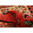 Cayuga Wool Rug