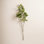 48" Cotinus Coggygria Branch