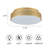 Dimmable Led Drum Flush Mount