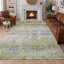 Tapis abstrait intérieur / extérieur lavable à la machine Chantille ACN2756-884915970-884916094