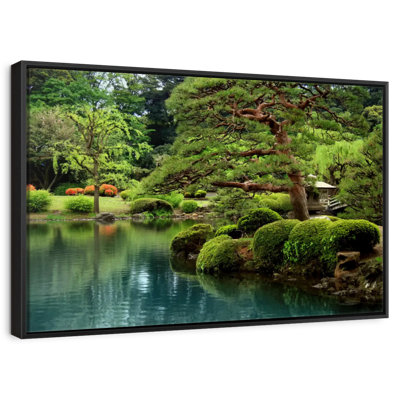 Bonsaï zen au bord du lac