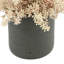 Seeded Eucalyptus Floral Arrangement