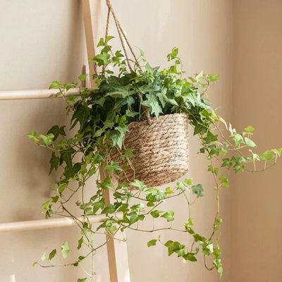Panier à fleurs suspendu en jonc de mer