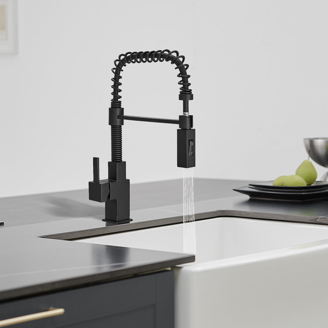 BESy Single Handle 2 Function Pull Down Kitchen Faucet with Accessories BESy