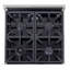 24 in. 2.5 cu. ft. Propane Gas Range and Convection Oven in Stainless Steel with True Simmer Burners-811242989