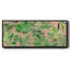 Tropical Sketchbook Coral- Framed Canvas