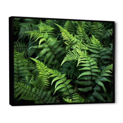 «Green Fern Scenery I» sur toile