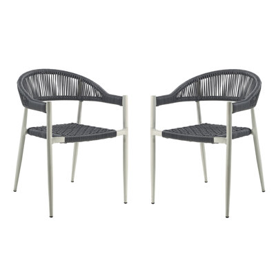 Demica 22" Width PE Wicker Outdoor Arm Chairs