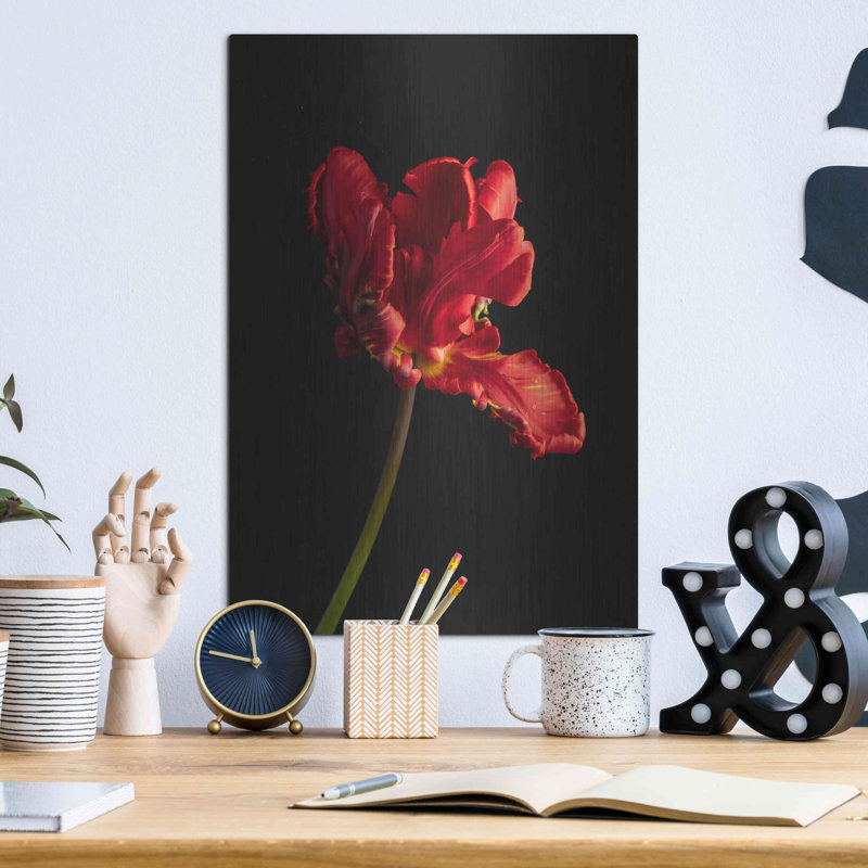 «Rippled Red Beauty» par Leah McLean, H 16 po x l 12 po