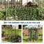 2 Pack 55x190cm Black Metal Plant Trellis, Rustproof Scrollwork Climbing Support for Roses Vines Vegetables, Indoor Outdoor Garden Trellis for Pots Patio Decor