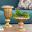 Compote classique