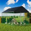 Snellville Chicken Run-1282182470