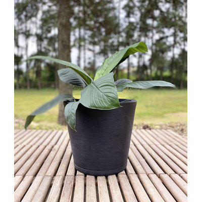 Genebra Pot Planter