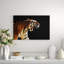 Tiger Print-24074447