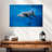 Brampt Swimming Dolphin Pair-107841182