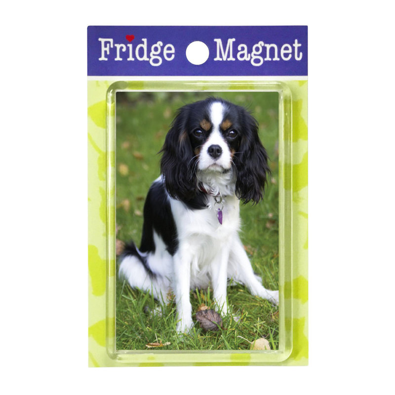 Fridge Magnet