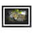 Black Framed selected