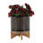 Daicy Ceramic Pot Planter