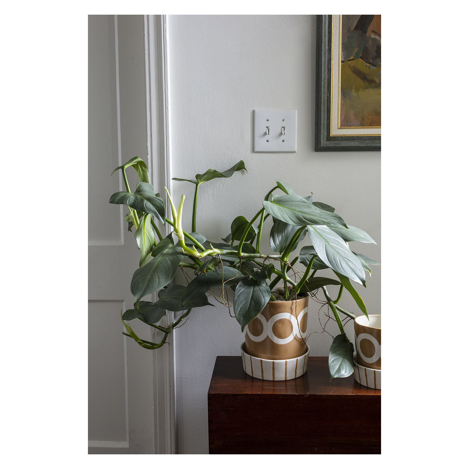 Myres Handmade Ceramic Pot Planter, 8" H x 7" W x 7" D