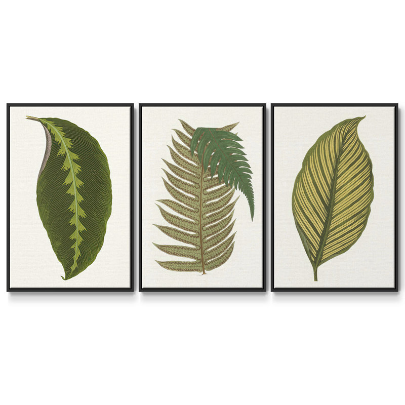 Collection de feuilles I - ensemble de 3 reproductions de photos sur toile, H 36 po x l 72 po, Noir