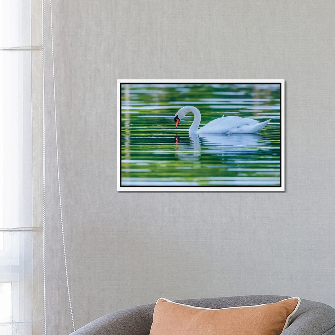 Morning Reflection by David Gardiner - Photograph on Canvas