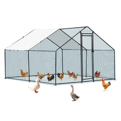 Emmeric Chicken Run
