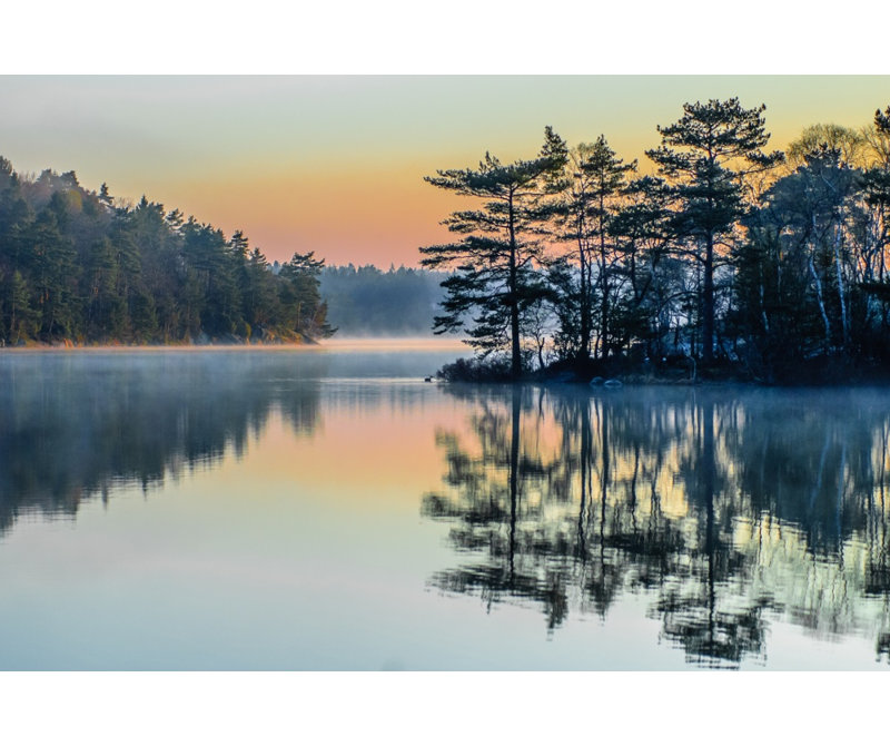 Wrapped Canvas Print, 91.44 cm H x 60.96 cm W
