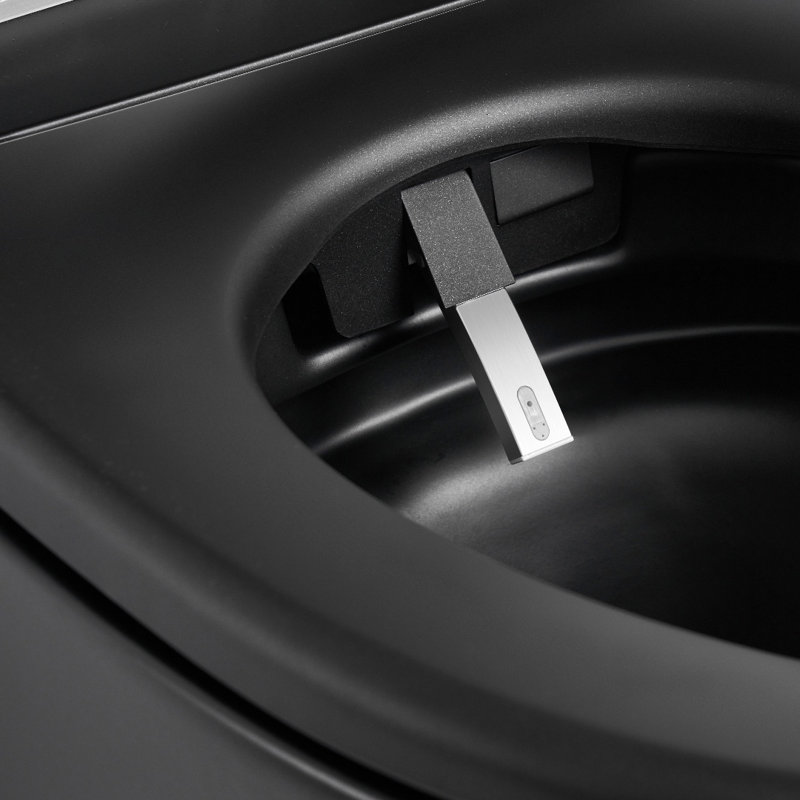 Matte Black Elongated One-Piece Smart Bidet Toilet with Dual Flush