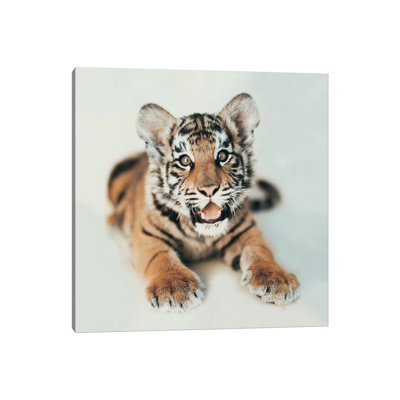 Indira I 1 Piece Wall Art on Canvas
