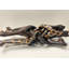 Sculpture 20 po Serengeti Unity