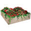 Lit de jardin surélevé 4 pi x 4 pi Savalas-1300529993-1300529999