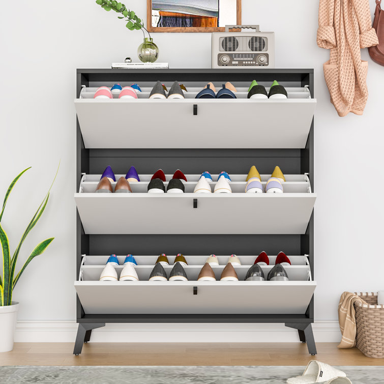 https://assets.wfcdn.com/im/51520236/resize-h755-w755%5Ecompr-r85/2443/244350678/24+Pair+Shoe+Storage+Cabinet.jpg