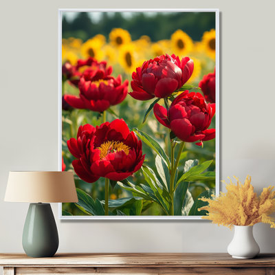 Grondin pivoines par le champ de tournesols III - pivoines, art mural