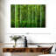Bambou Alvord Jungle-111960997