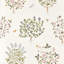 Highgrove Thyme Walk-1016341549