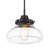 Dauphine 1 - Light Matte Black Schoolhouse Pendant