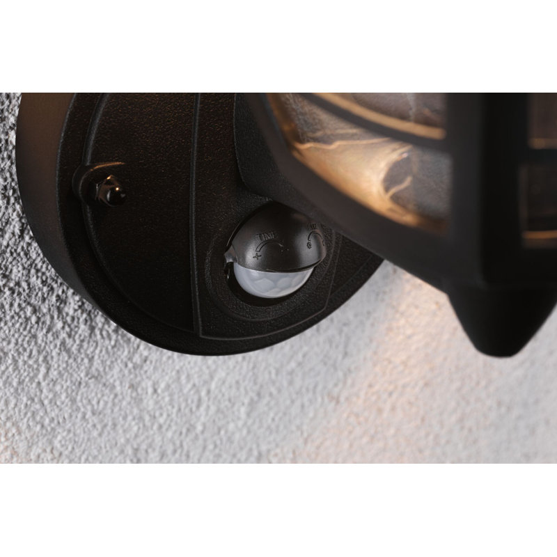 Black 23cm H Outdoor Wall Lantern